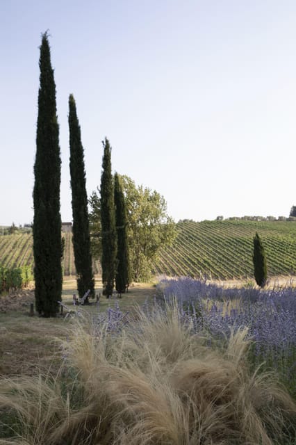 Florence: Tradition Reinvented Wine Experience - Key Points