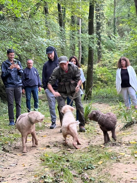 Florence: Truffle Hunt, San Gimignano, and Chianti Day Trip - Detailed Breakdown of What to Expect