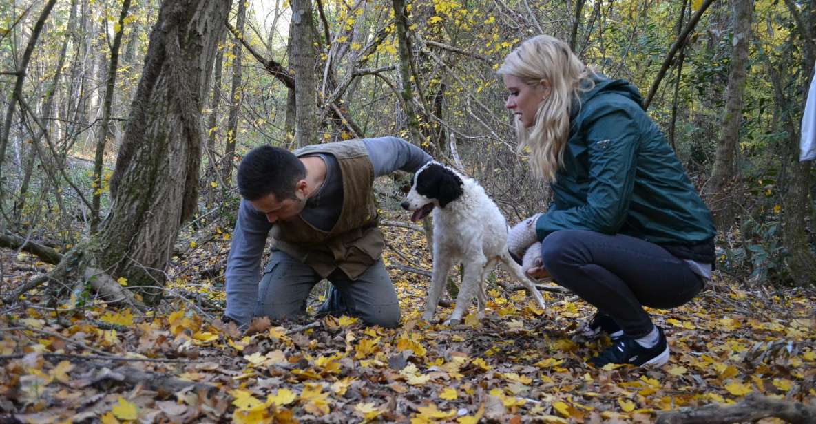 Florence: Truffle Hunting, Lunch, and Wine Tasting Tour - Key Points