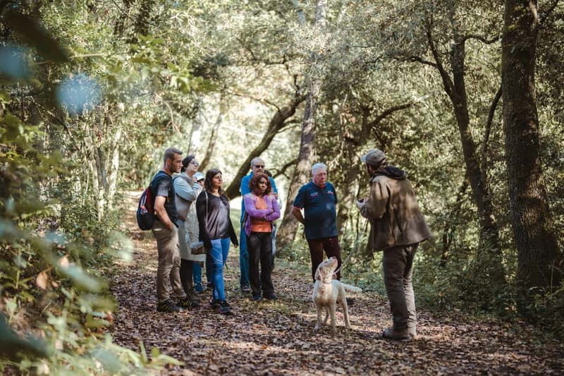 Florence: Truffle Hunting with Lunch, Wine & San Gimignano - Key Points  