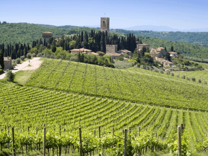 Florence: Tuscan Day trip Siena San Gimignano, Pisa, - Final Thoughts: Who Will Love This Tour?