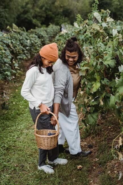 Florence: Tuscan Grape Stomping, Lunch and Wine Tasting - What You Can Expect from This Tour