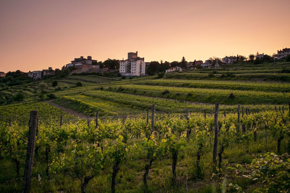 Florence: Tuscany Chianti Winery Private Day-Trip With Lunch - Highlights of the Day-Trip