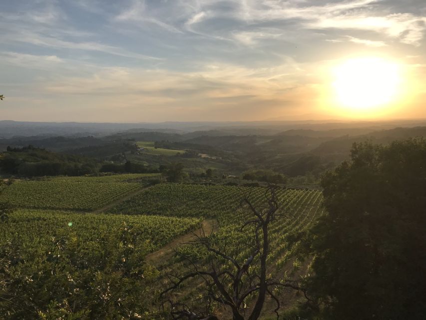 Florence: Tuscany Chianti Winery Private Day-Trip With Lunch - Private Wine Estate Visit