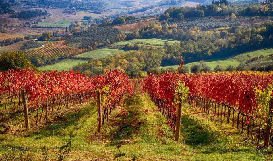 Florence: Tuscany Chianti Winery Private Day-Trip With Lunch - Typical Tuscan Lunch