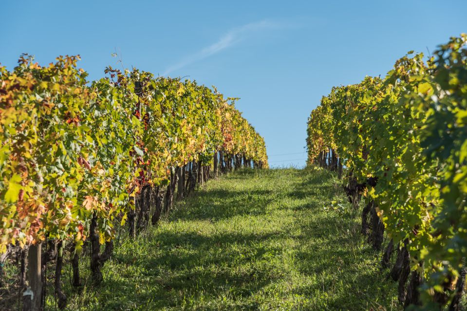 Florence: Tuscany Chianti Winery Private Day-Trip With Lunch - Booking and Cancellation Details