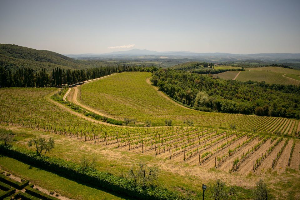 Florence: Tuscany Chianti Winery Private Day-Trip With Lunch - Frequently Asked Questions