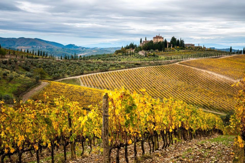 Florence: Tuscany Highlights Bus Tour With Winery Visit - Key Points