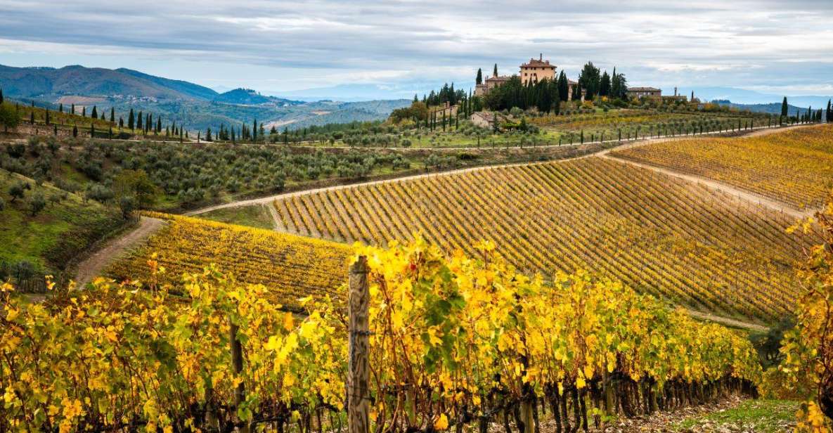 Florence: Tuscany Highlights Bus Tour With Winery Visit - Exploring San Gimignano