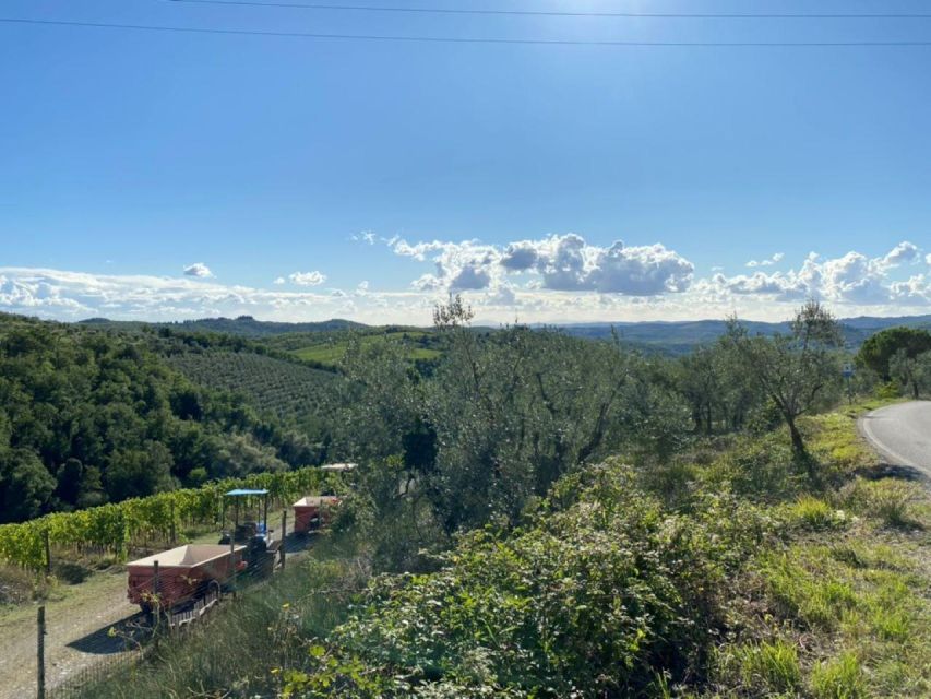 Florence: Tuscany Highlights Bus Tour With Winery Visit - Vineyard or Chianti Villa