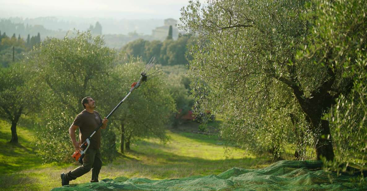Florence: Tuscany Olive Oil, Coffee & Wine Small Group Tour - Coffee Factory Experience