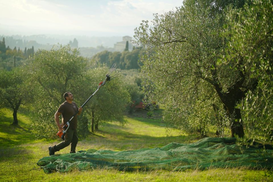 Florence: Tuscany Olive Oil, Coffee & Wine Small Group Tour - Olive Oil Farm Tour