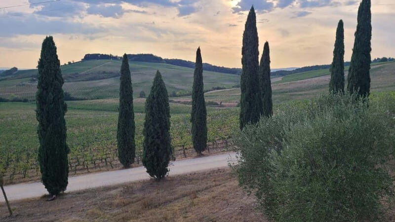 Florence: Two Wine Tastings in Tuscany+ San Gimignano - Why This Tour Offers Good Value