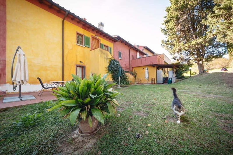 Florence: Wine Tasting at a Vineyard With a Local Winemaker - The Value of the Experience