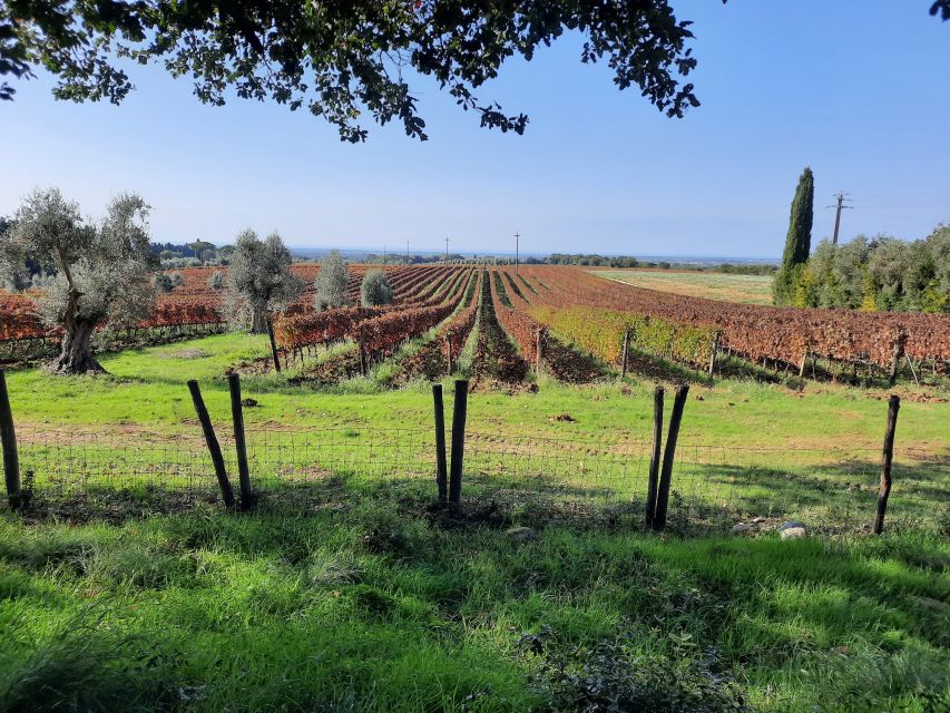 Florence Wine Tour With Traditional Lunch, Private Winery - Booking and Cancellation Details