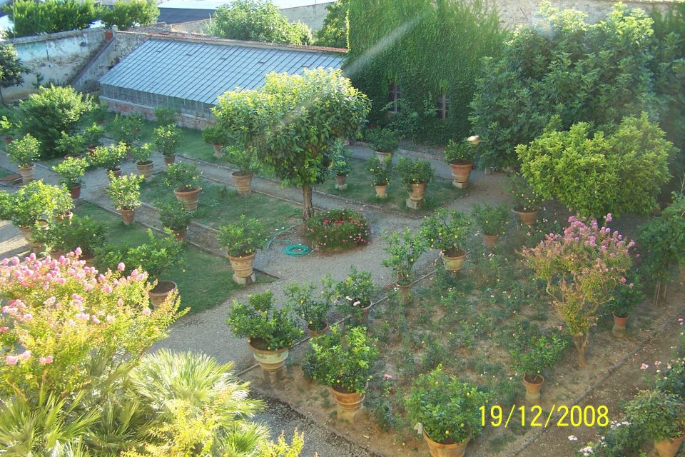 Florentine Countess Kitchen Lesson and Dinner - Cooking Class and Dining