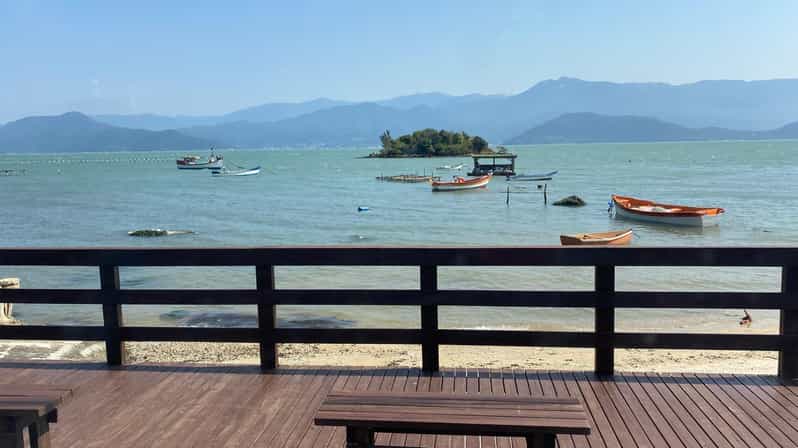 Florianópolis: South Naufragados Trail - An Authentic Day in Florianópolis’s South