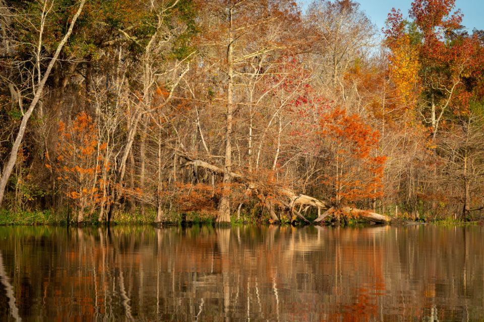 Florida: Big Cypress National Preserve Driving Audio Tour - Tour Stops