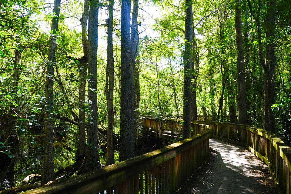 Florida: Big Cypress National Preserve Driving Audio Tour - Driving Audio Tour Details