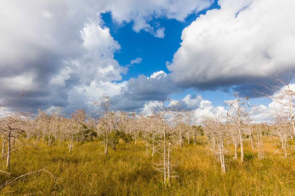 Florida: Big Cypress National Preserve Driving Audio Tour - Tour Itinerary