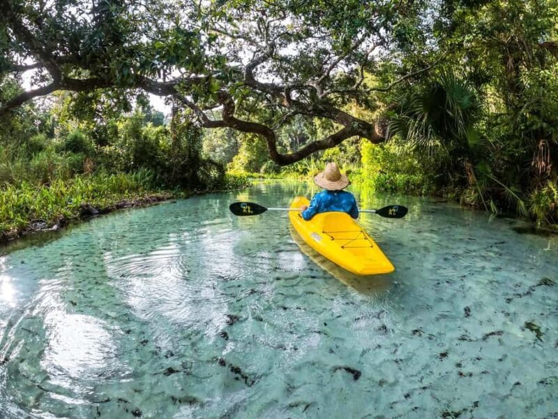 Florida: Emerald Cut Kayak Adventure - Pricing & Value