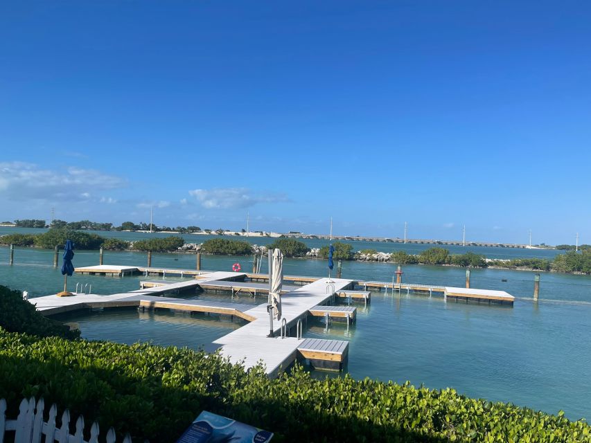 Florida Keys: Dockside Dolphin Experience - Duration and Activities