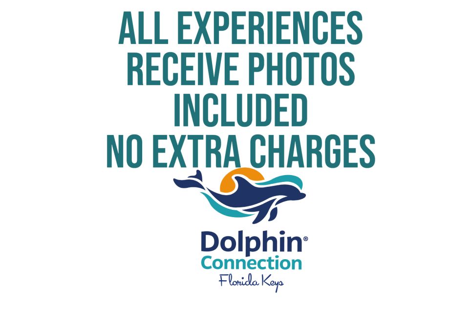 Florida Keys: Dockside Dolphin Experience - Inclusions and Exclusions