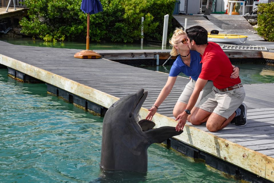 Florida Keys: Dockside Dolphin Experience - Age Requirements