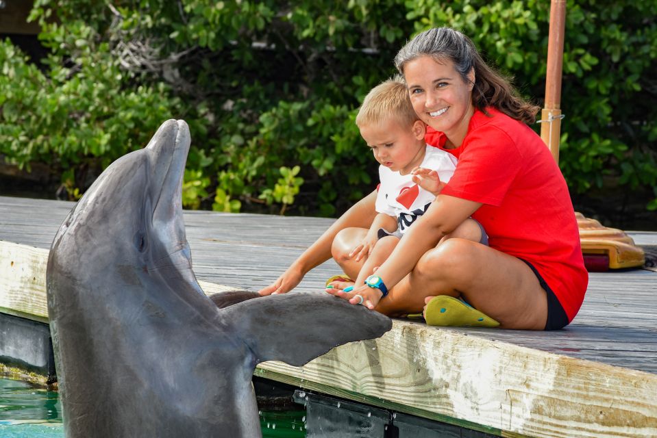 Florida Keys: Dockside Dolphin Experience - Recap