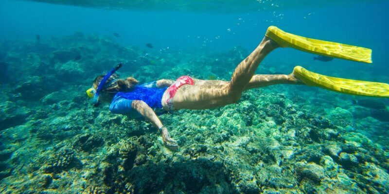 Florida Keys: Full-Day Kayak + Snorkel Coral Reef Adventure - Why This Tour Works