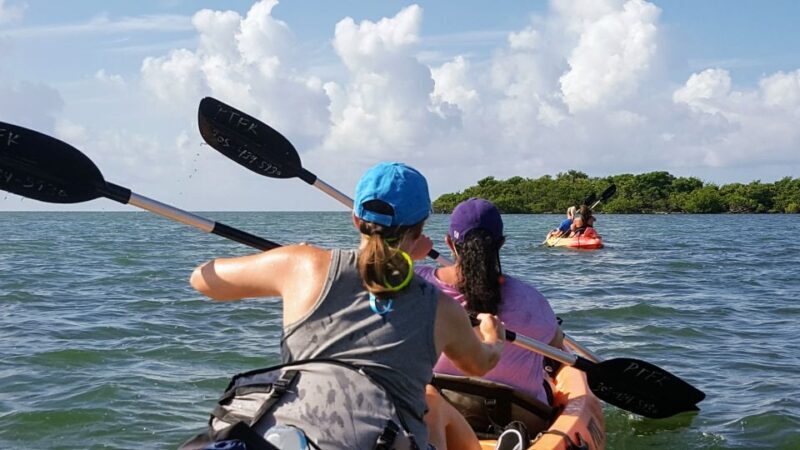 Florida Keys: Full-Day Kayak + Snorkel Coral Reef Adventure - Frequently Asked Questions