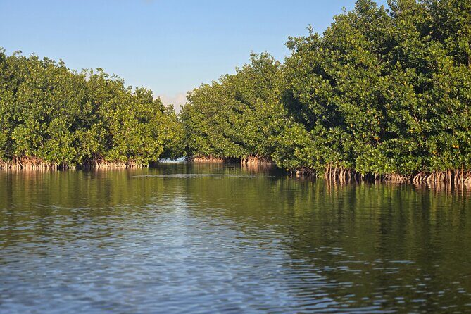 Florida Keys Kayak And Paddleboard Rentals - A Practical Guide to Florida Keys Kayak and Paddleboard Rentals