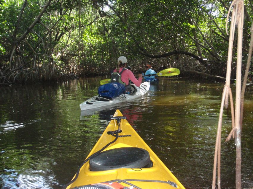 Florida Keys: Key West Kayak Eco Tour With Nature Guide - Meeting Location