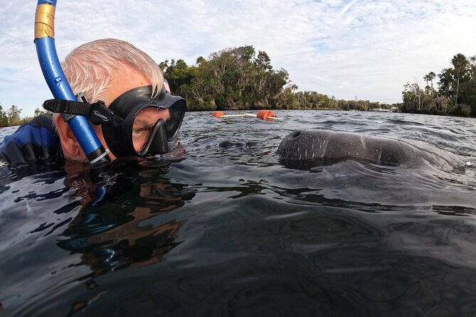 Florida Manatee Swim Adventure - Customer Reviews and Ratings