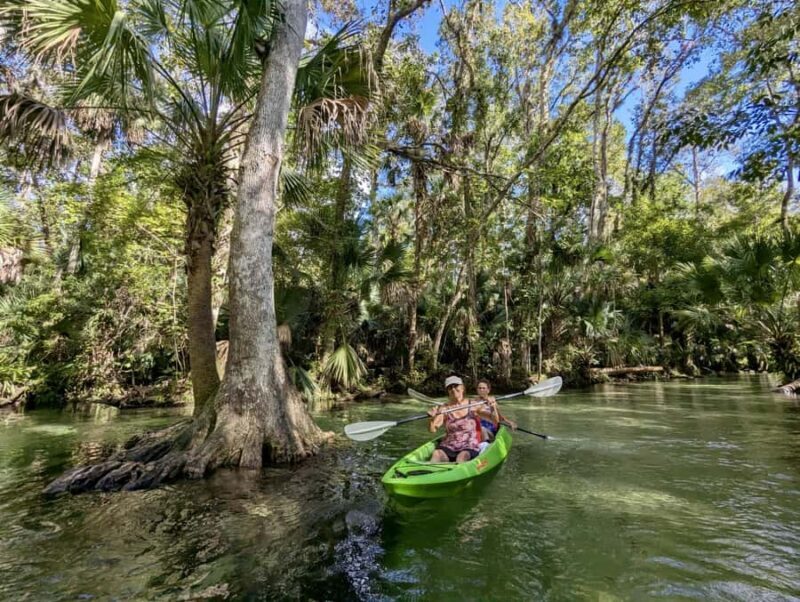 Florida: Rock Springs Run Clear Kayak Adventure - Authentic Reviews and Perspectives