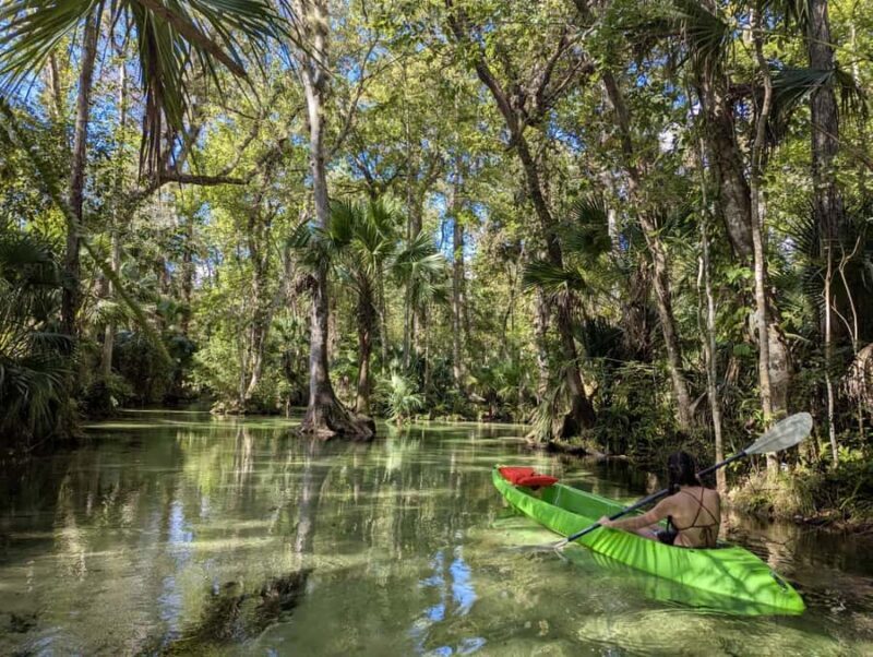 Florida: Rock Springs Run Clear Kayak Adventure - The Sum Up: Who Should Consider This Tour?