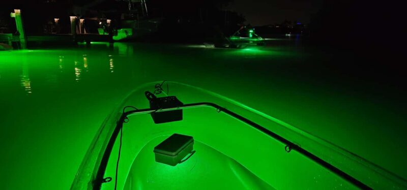 Florida: Sharkey's Guided Fish Feeding LED Night Tour - A Deep Dive into the Nighttime Marine Adventure