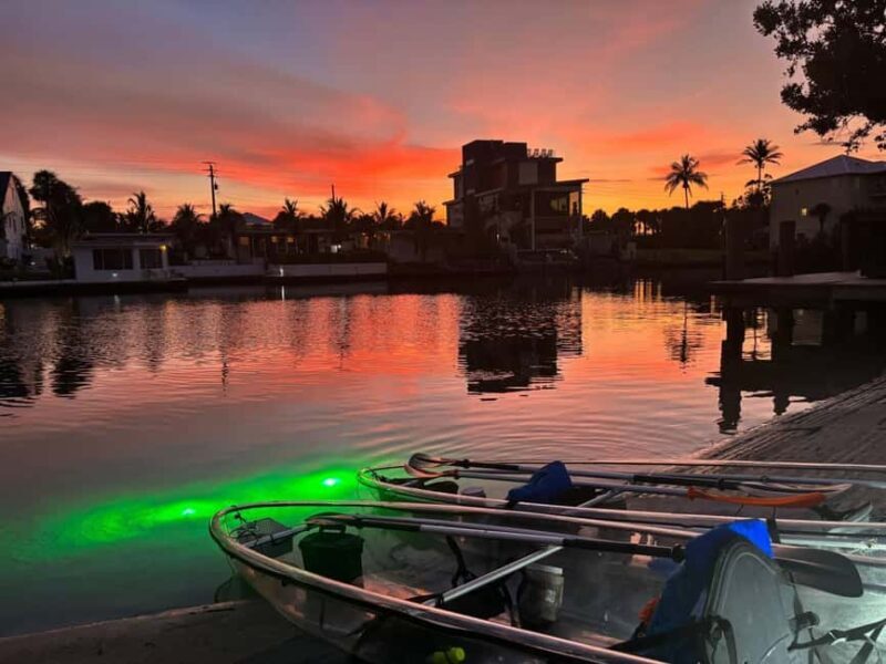 Florida: Sharkey's Guided Fish Feeding LED Night Tour - A Closer Look at What Makes this Tour Stand Out