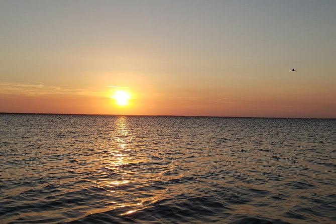 Florida Sunset Kayaking Tour (Haulover Canal) Titusville - Health and Safety Guidelines