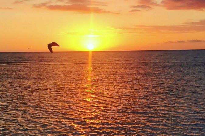 Floyd's Pelican Bar - The Transportation Experience