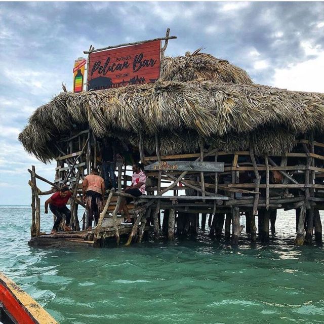 Floyds Pelican Bar and Appleton Estate Rum Experience - Sampling Sugar Cane and Wet Sugar