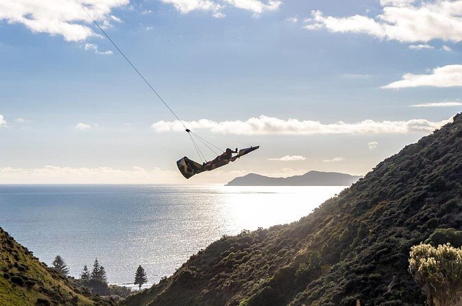 Fly By Wire New Zealand - Who Will Love This?