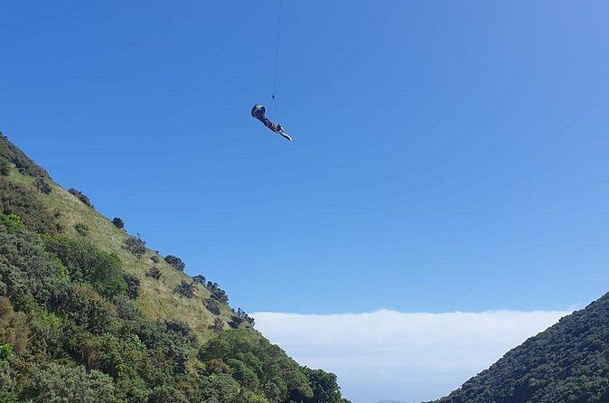 Fly By Wire New Zealand - Price and Value