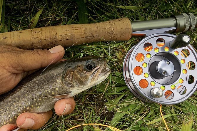 Fly Fishing Guided Experiences - Pricing and Reviews