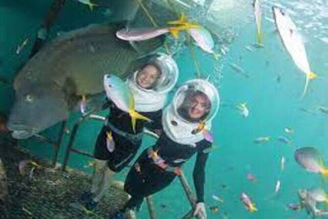 Fly in and Fly out Great Barrier Reef Cairns Day Tour - Is This Tour Worth Its Price?