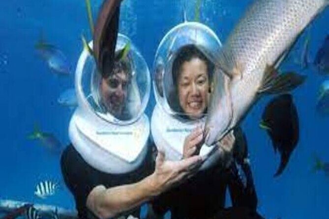 Fly in and Fly out Great Barrier Reef Cairns Day Tour - FAQs