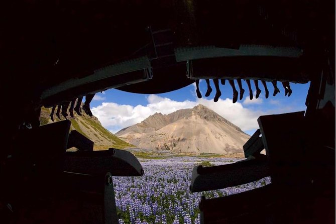 FlyOver Iceland Admission Ticket - Accessibility Information