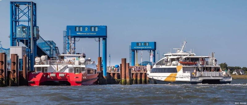 Föhr: Day trip by boat to Hallig Hooge - The Sum Up