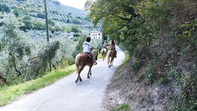 Foligno: horseback riding with aperitif - Final Thoughts
