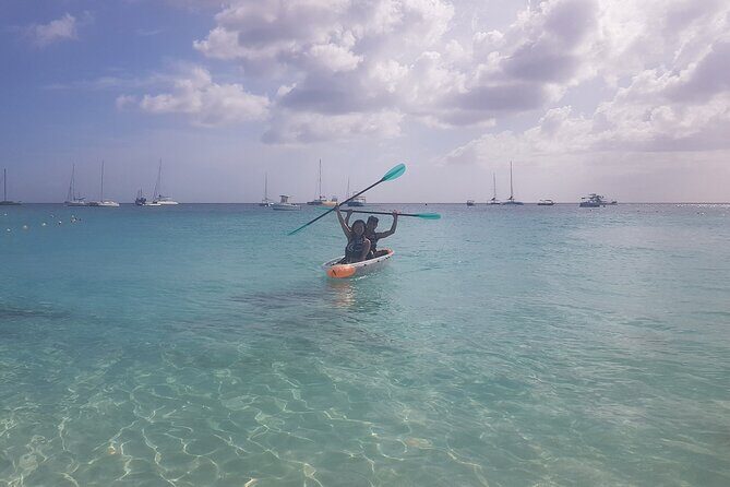 Folkestone Coral Reef Clear Kayak Tour - The Experience: From Paddling to Underwater Views